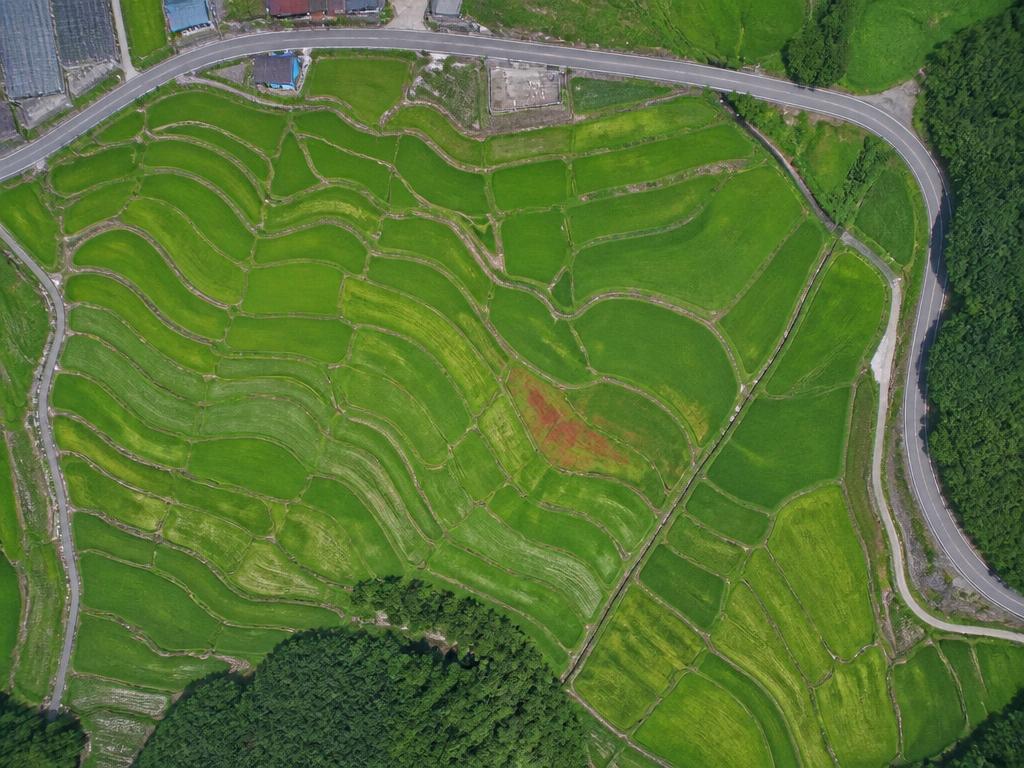 강릉 · Gangneung